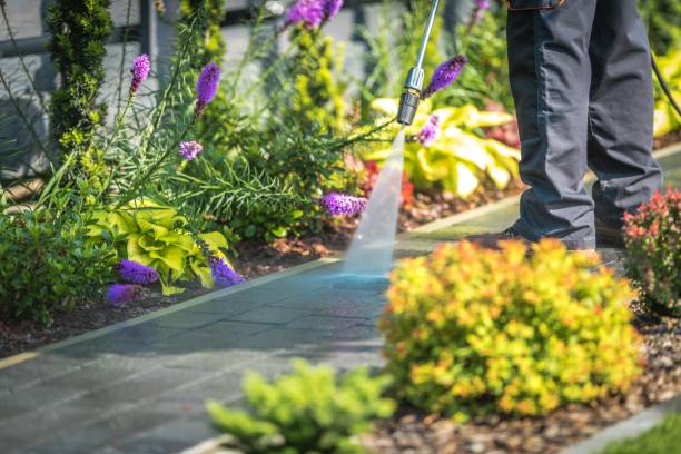 Best Parking Lot and Garage Cleaning  in South Roxana, IL