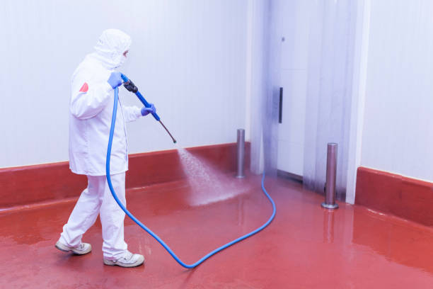 Best Parking Lot and Garage Cleaning  in South Roxana, IL