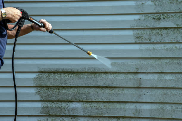 Best Gutter Cleaning  in South Roxana, IL