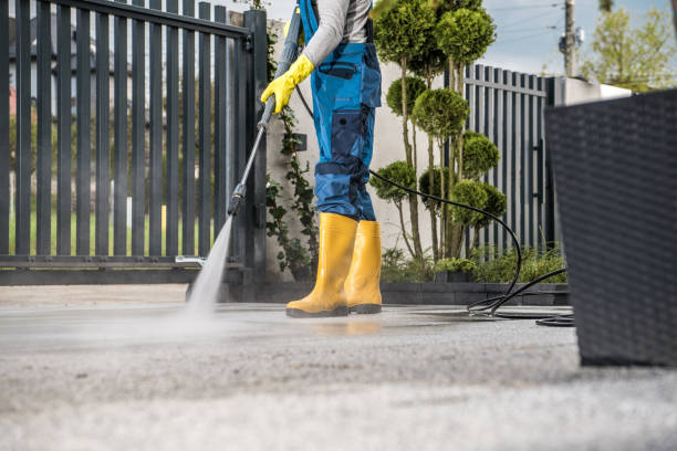 Best Roof Washing  in South Roxana, IL
