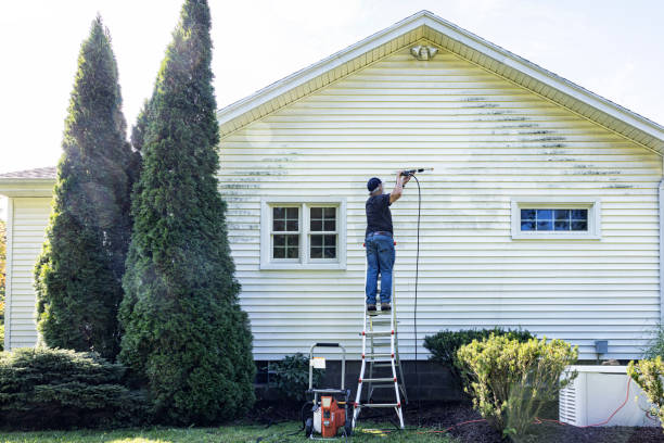 Professional Pressure Washing Services in South Roxana, IL
